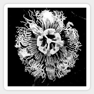 Black and White PassionFlower Magnet